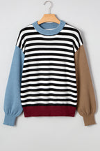 Striped Panels Colorblock Sleeve Chic Sweater