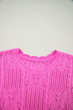 Pointelle Knit Patterned Scalloped Trim Short Sleeve Sweater