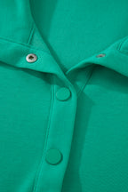Solid Color Snap Button Polo Collar Short Sleeve Scallop Hem Mini Dress