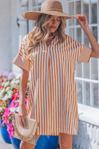 Brown Stripe Pinched V Neck Turn-up Cuffs Shift Mini Dress