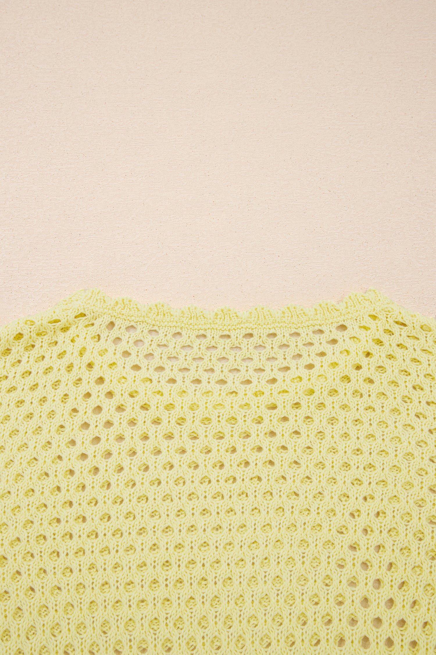Scalloped Trim Hollow Out Knit Long Sleeve Top