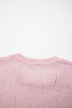 Semi Sheer Lace Long Sleeve Cropped Top