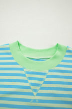 Striped Color Block Detail Long Sleeve Pullover Elastic Waist Pull On Shorts 2pcs Set