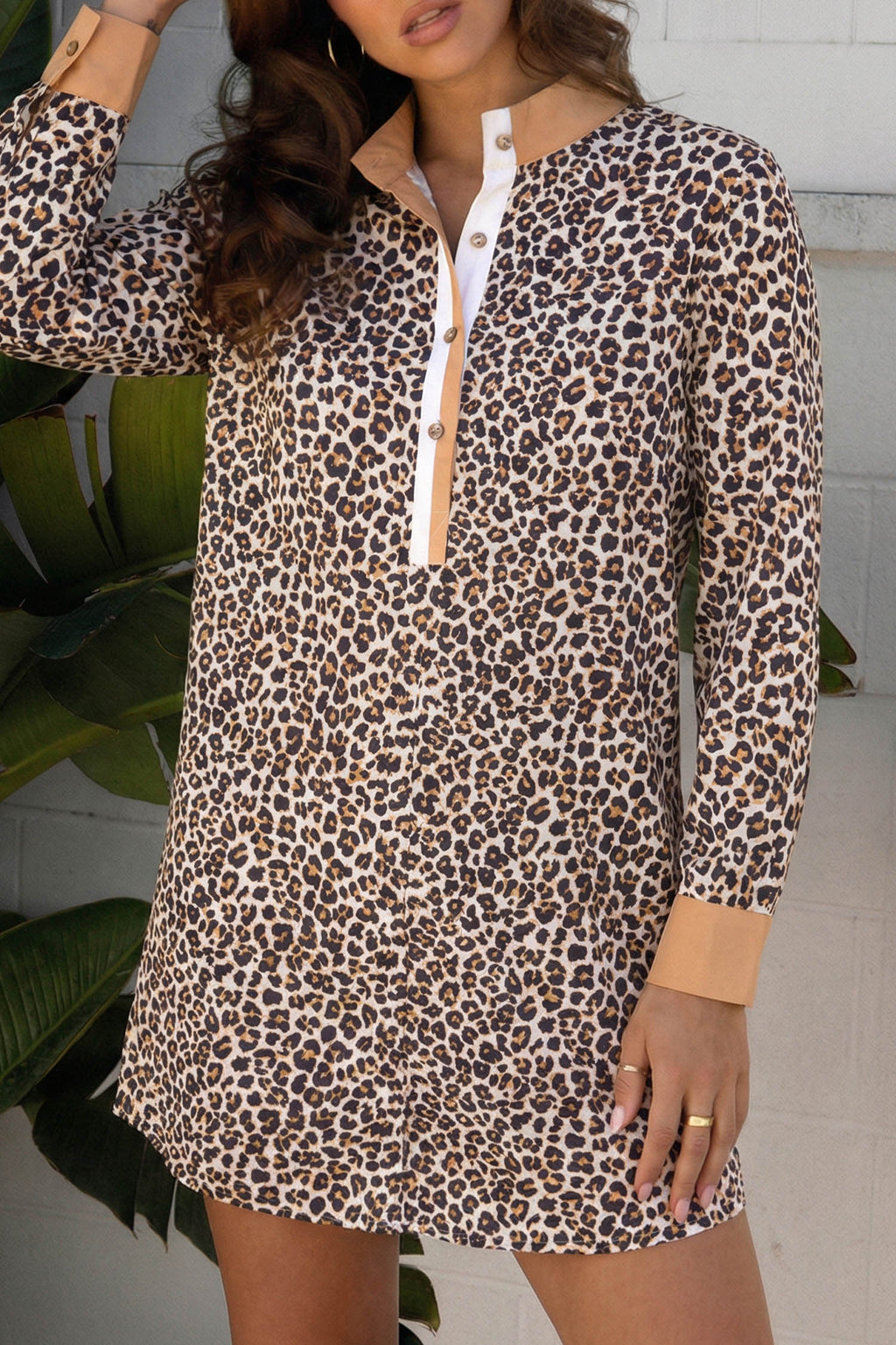 Button Striped Collar Leopard Print Long Sleeve Flared Dress