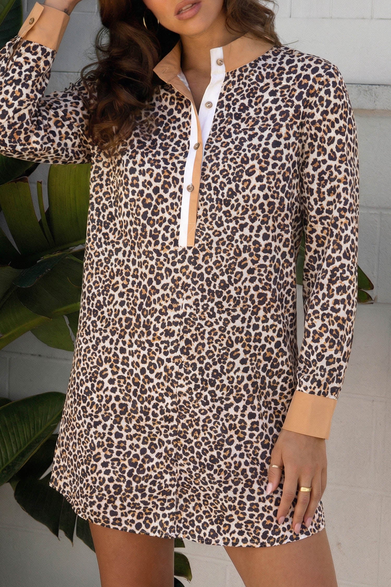 Button Striped Collar Leopard Print Long Sleeve Flared Dress