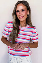 Multicolour Textured Stripes Knit Short Sleeve Sweater