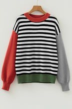 Striped Panels Colorblock Sleeve Chic Sweater