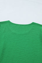 Solid Color Ruffle Trim Short Sleeve Blouse