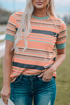Multicolor Stripes Crew Neck T Shirt