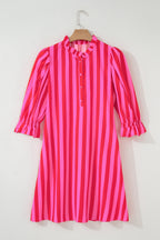 Rose Stripe Frilled Collar Button Neck Short Sleeve Curvy Mini Dress