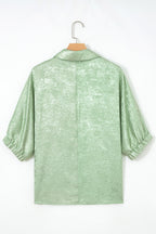 Collared V Neck Half Sleeve Metallic Top