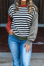 Striped Panels Colorblock Sleeve Chic Sweater